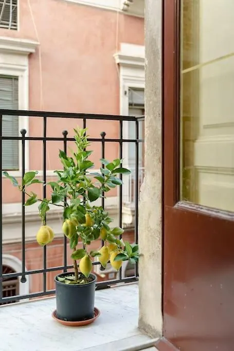Anef Apartment Catania